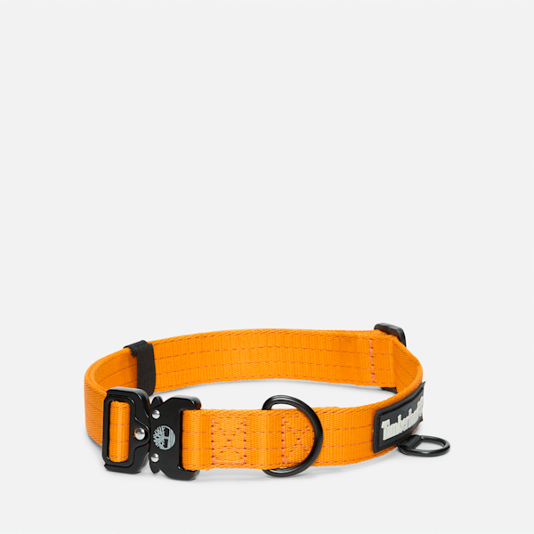 Large Tactical Web Dog Collar