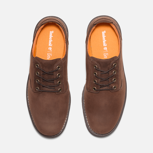 Men's Redwood Falls Lace-Up Waterproof Shoe