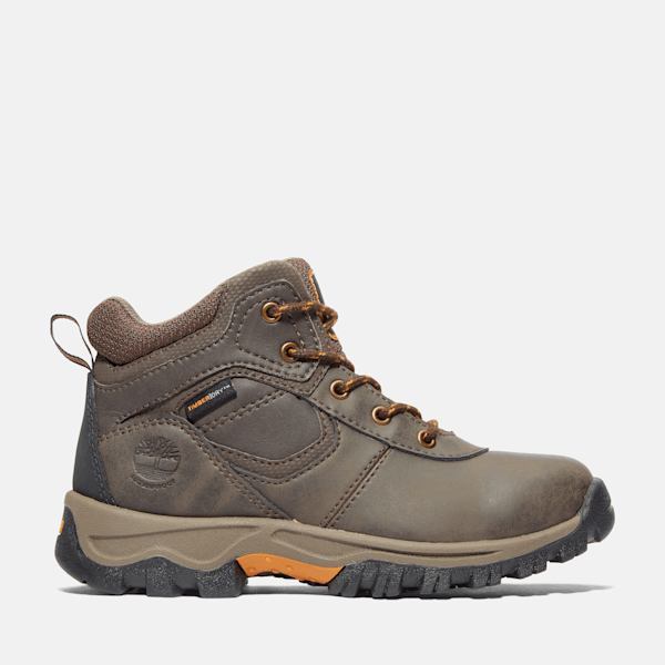 Junior Mt. Maddsen Waterproof Mid Hiking Boot