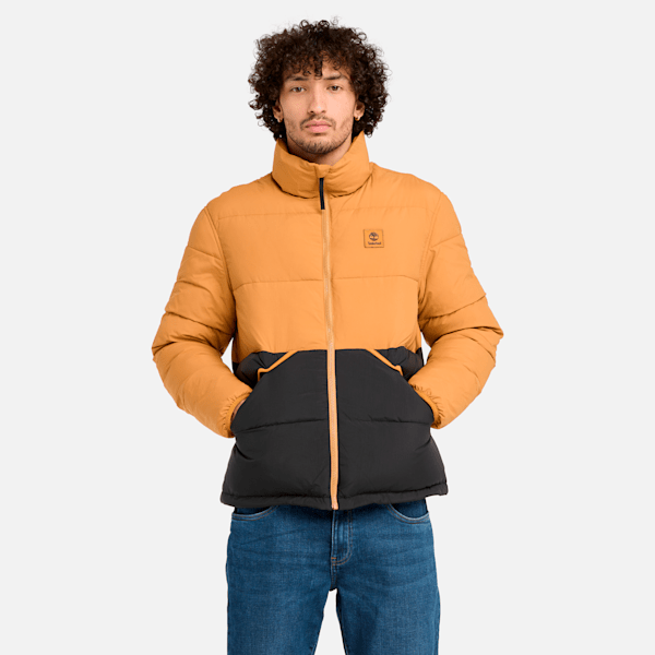 Synthetic Insulated Puffer Jacket