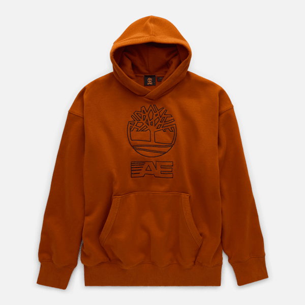 Timberland x AE Heavyweight Graphic Hoodie