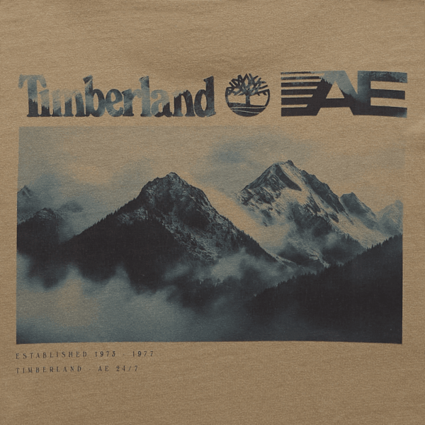 Timberland x AE Long Sleeve Mountain Graphic T-Shirt