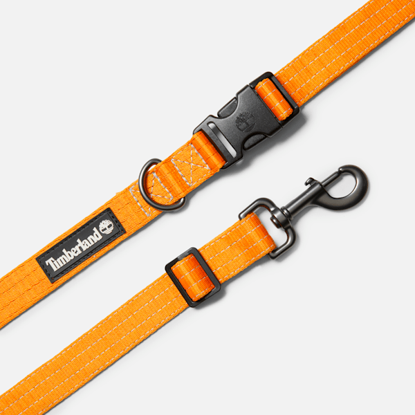 Webbed Hands-Free Dog Leash