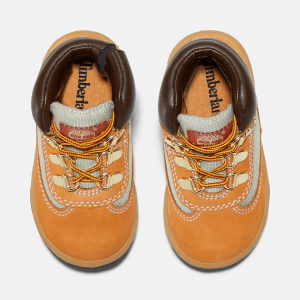 Toddler Field Boot Mid Lace-Up Boot