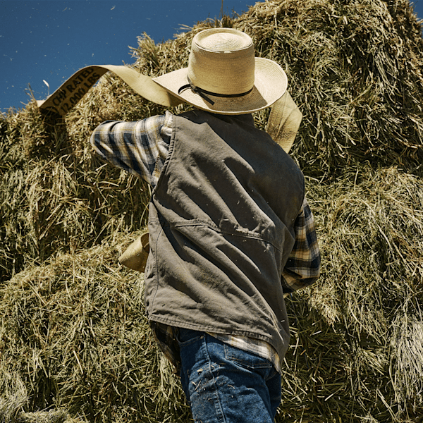 Men's Timberland PRO? Gritman Fleece-Lined Canvas Vest