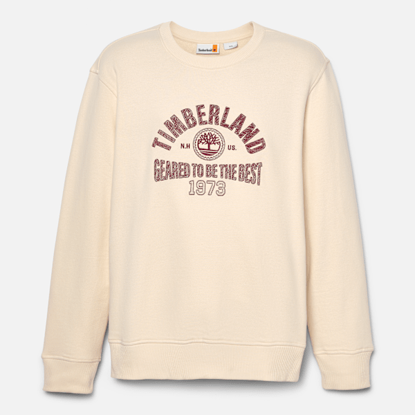 Men's Seasonal Logo Graphic Crew Neck Shirt