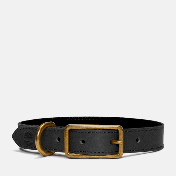 Large Leather Dog Collar