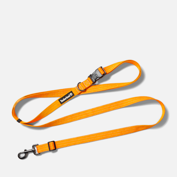 Webbed Hands-Free Dog Leash