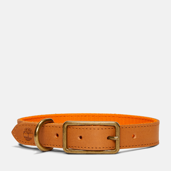 Large Leather Dog Collar