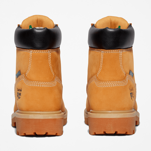 Women's Direct Attach 6