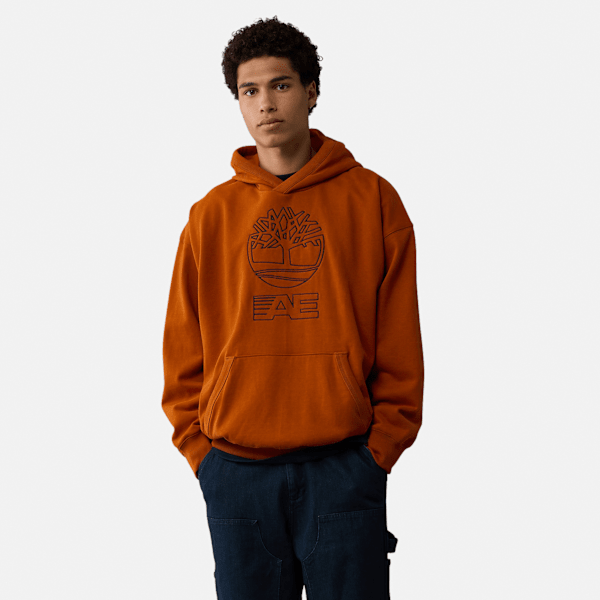 Timberland x AE Heavyweight Graphic Hoodie