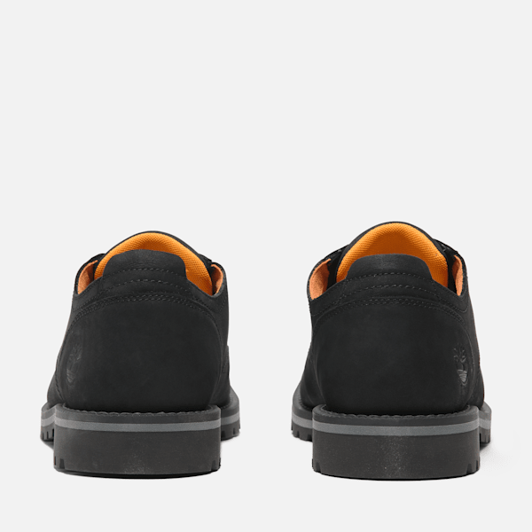 Men's Redwood Falls Lace-Up Waterproof Shoe