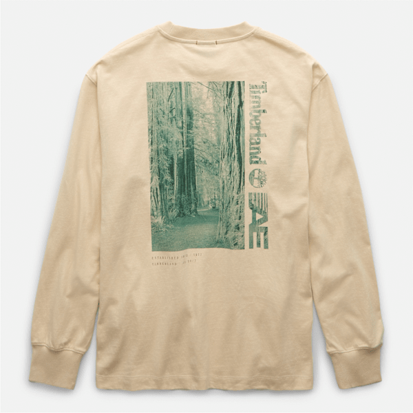 Timberland x AE Long Sleeve Forest Graphic T-Shirt