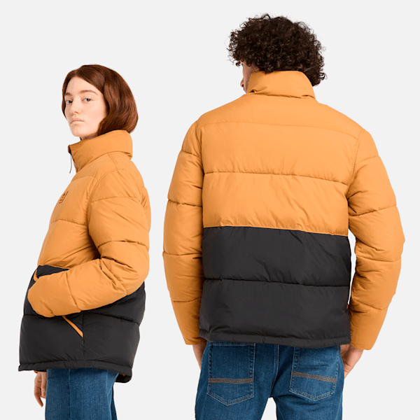 Synthetic Insulated Puffer Jacket