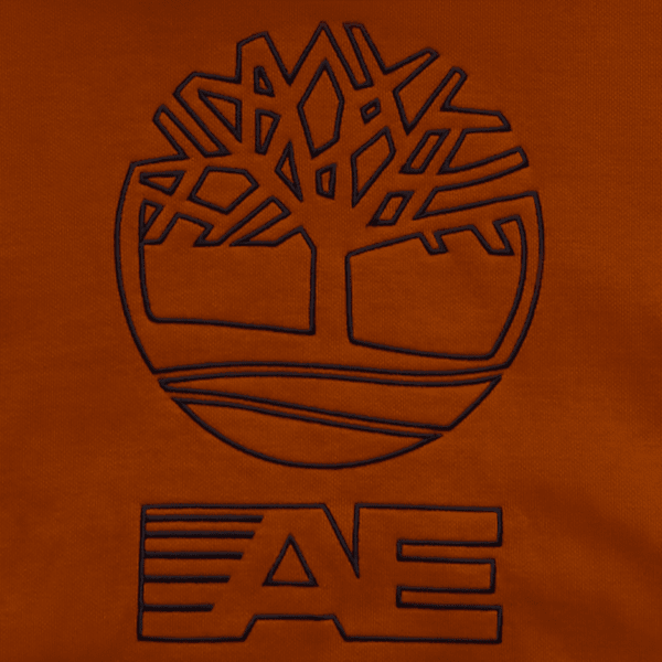 Timberland x AE Heavyweight Graphic Hoodie