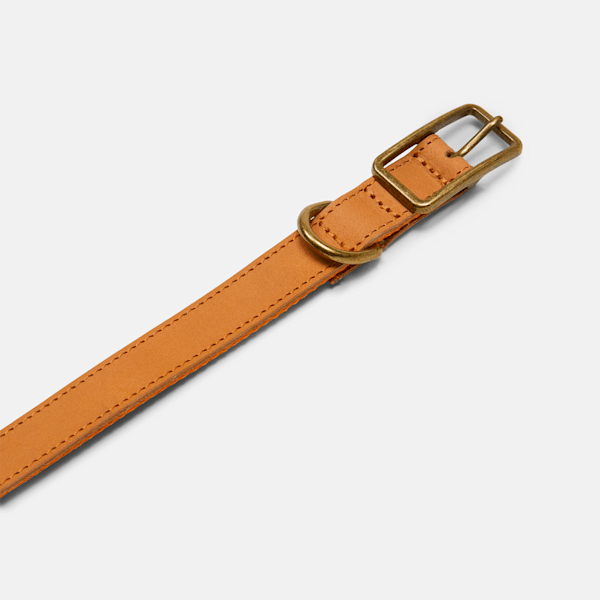 Large Leather Dog Collar