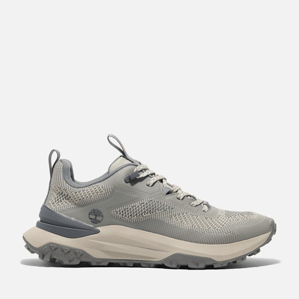 Men's Motion Access Low Lace-Up Sneaker