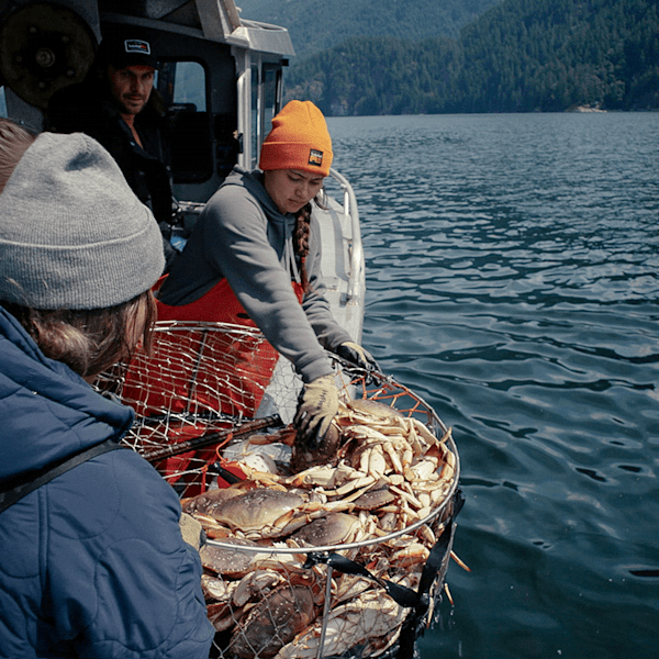 Women's Timberland PRO? Hypercore Insulated Jacket