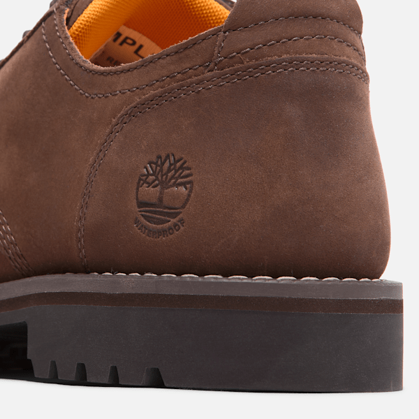 Men's Redwood Falls Lace-Up Waterproof Shoe