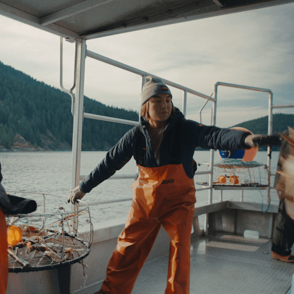 Timberland PRO? Watch Cap