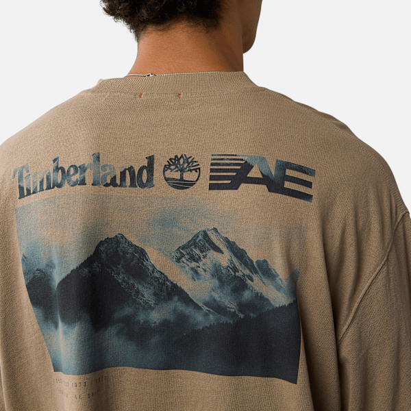 Timberland x AE Long Sleeve Mountain Graphic T-Shirt