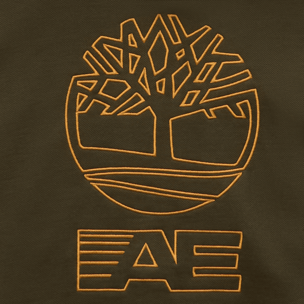 Timberland x AE Heavyweight Graphic Hoodie