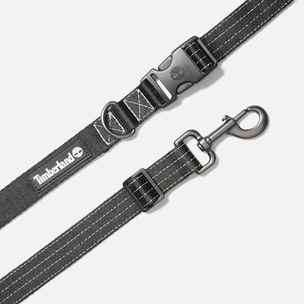 Webbed Hands-Free Dog Leash