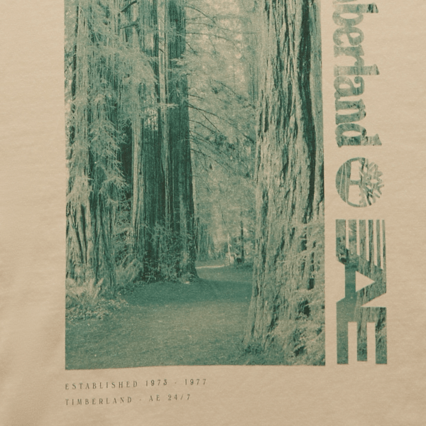 Timberland x AE Long Sleeve Forest Graphic T-Shirt