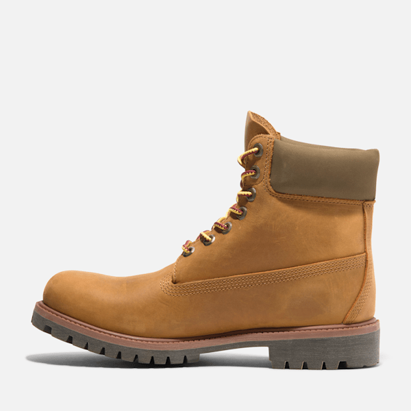 Men's Timberland? Premium Espresso 6-Inch Lace Up Waterproof Boot