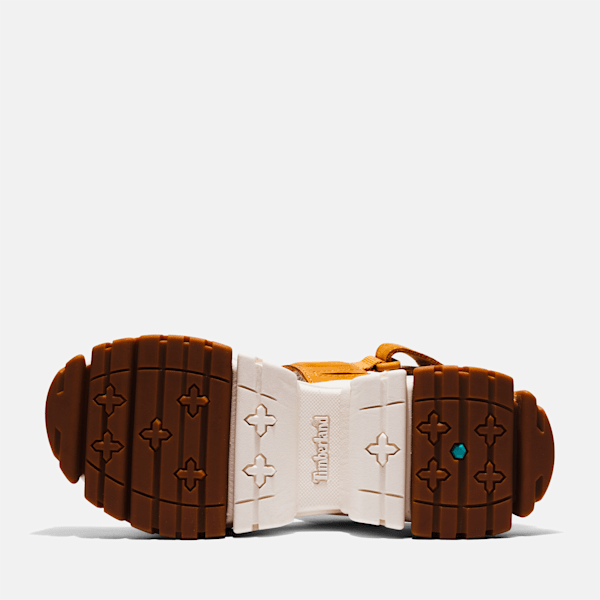 Women’s Adley Way Backstrap Sandals