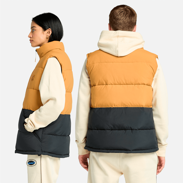 Synthetic Insulated Puffer Vest