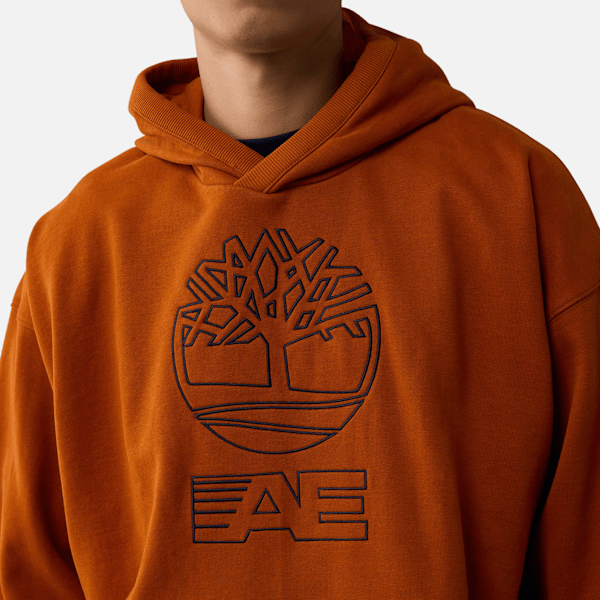 Timberland x AE Heavyweight Graphic Hoodie