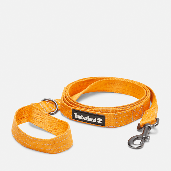 Webbed Grab Handle Dog Leash