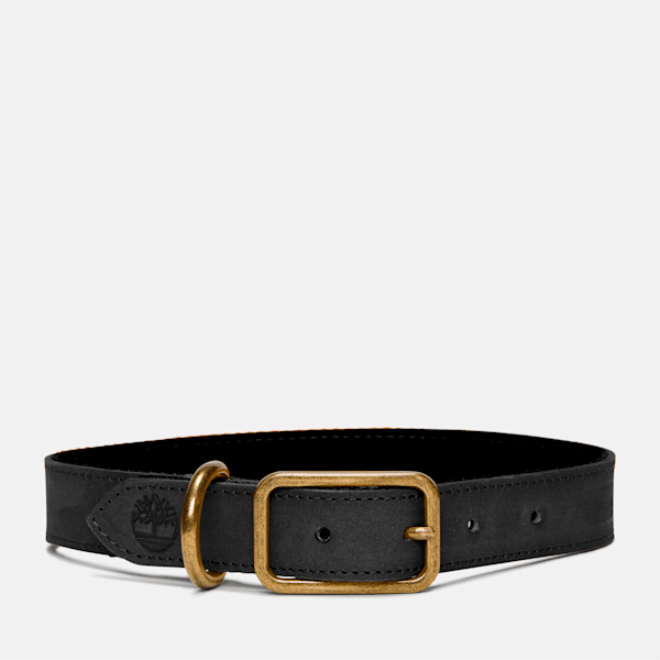Small Leather Dog Collar