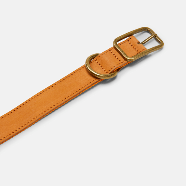 Small Leather Dog Collar