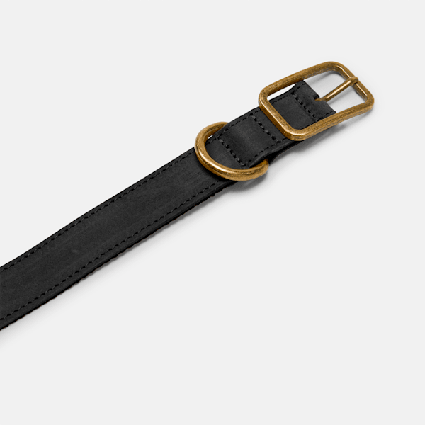 Small Leather Dog Collar