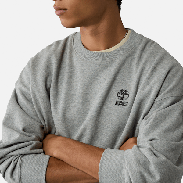 Timberland x AE Heavyweight Outdoor Graphic Crew