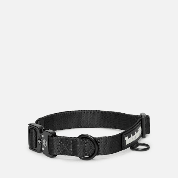 Small Tactical Web Dog Collar