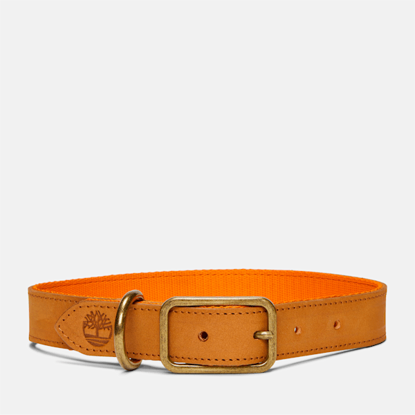Small Leather Dog Collar