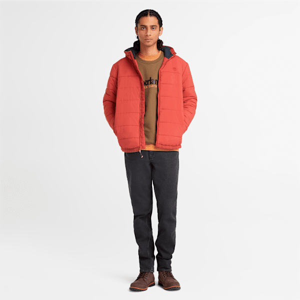 Men's Stretch Washed Black Denim Pant