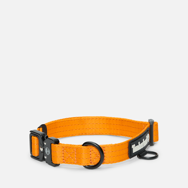 Small Tactical Web Dog Collar