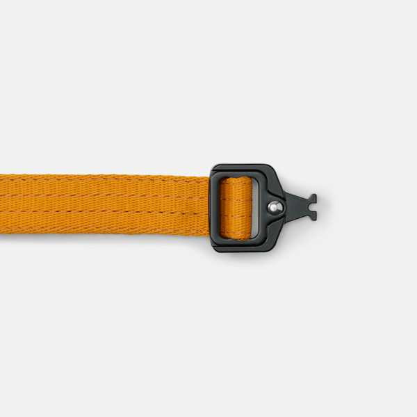 Small Tactical Web Dog Collar