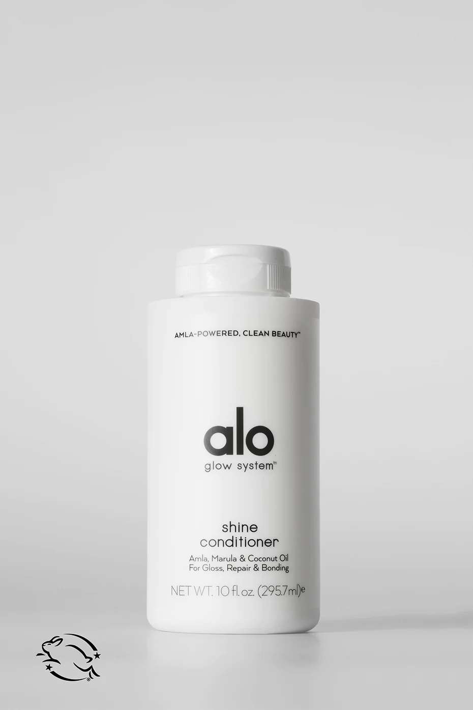 Shine Conditioner