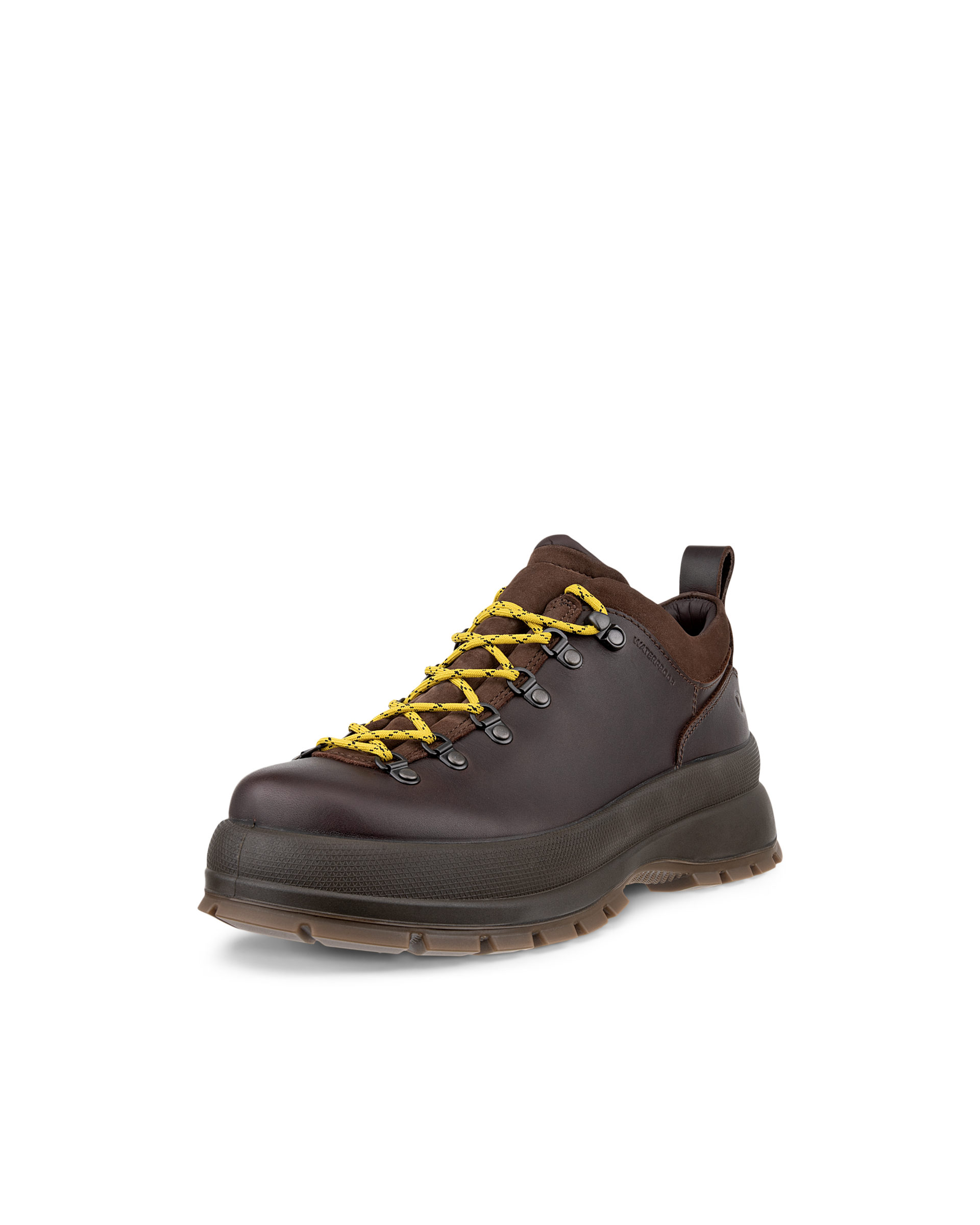Men's ECCO® Track 30 Leather Waterproof Shoe
