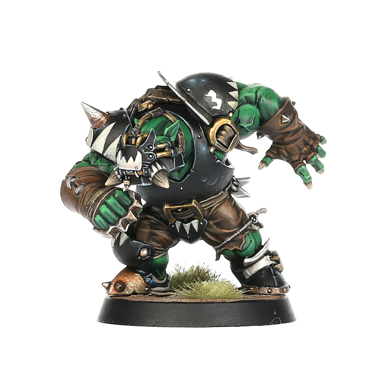 Black Orc Blood Bowl Team: The Thunder Valley Greenskins