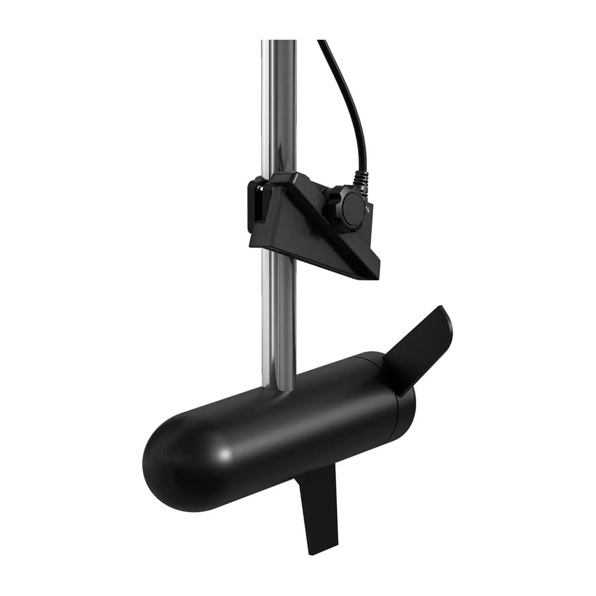 LiveScope™ Plus LVS34 Transducer only
