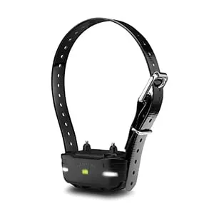 PRO 550 System (Includes Handheld and Dog Device)