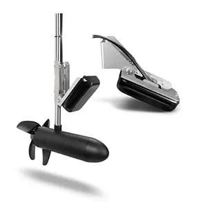 Panoptix™ PS31 PS31