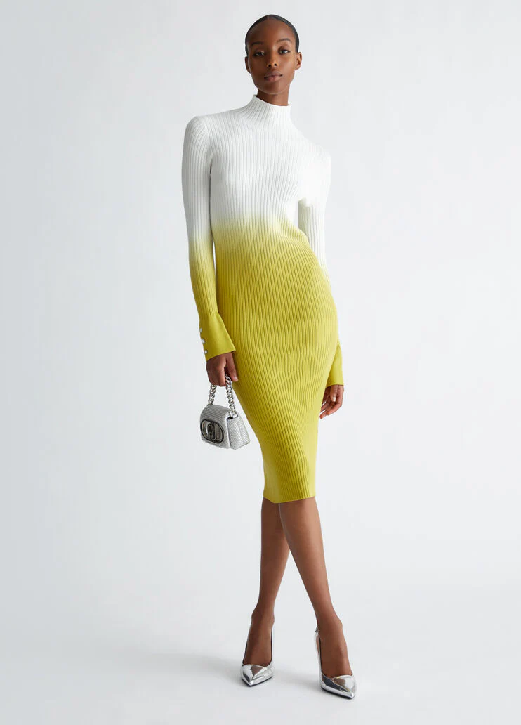 Ombre knit dress
