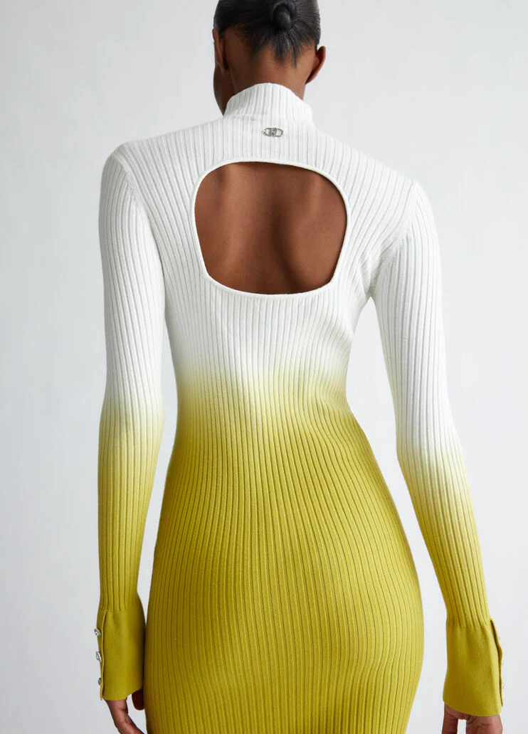 Ombre knit dress